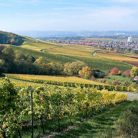Western Fellbach-stuttgart Szálloda Fellbach