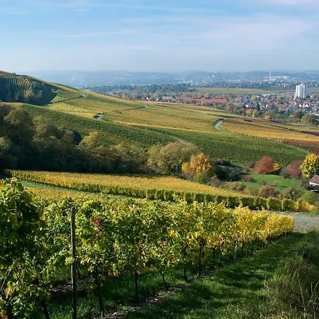 Western Fellbach-stuttgart Szálloda Fellbach