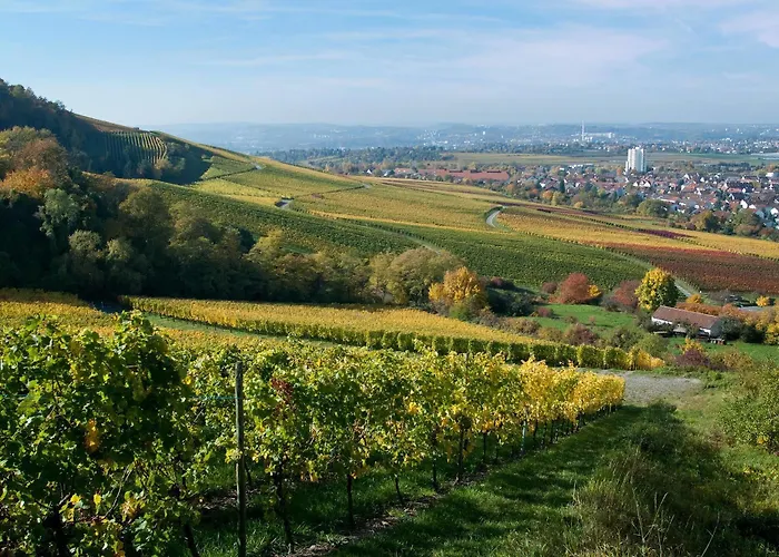Western Fellbach-stuttgart Hotel Fellbach